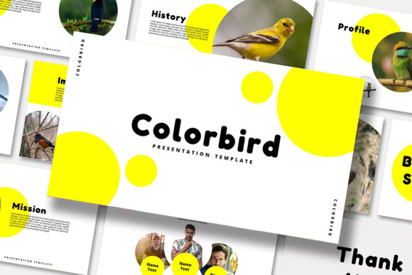 Color Bird - Google Slides Template: Elevate Your Presentations